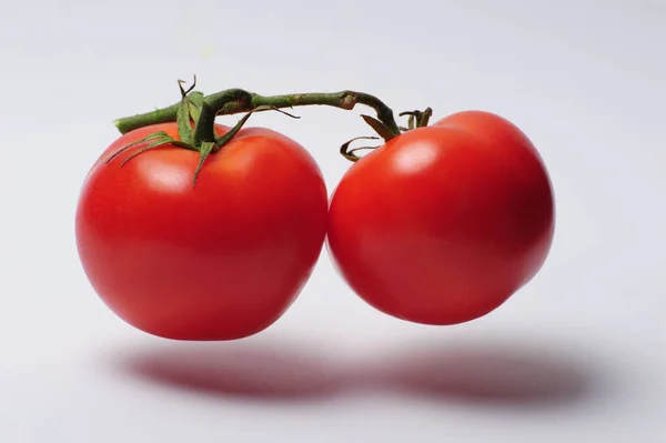 白色背景的鲜红色西红柿 — 图库照片