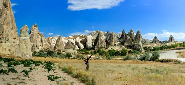 Storskalig Panoramautsikt Över Kappadokien Naturliga Geologiska Formationer Extraordinär Skönhet Berömd — Stockfoto