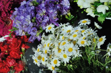 Bahçedeki güzel çiçekler