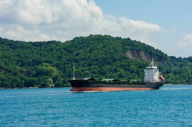 İstanbul, Türkiye 'de İstanbul Boğazı' nda yelken açan büyük bir gemi.