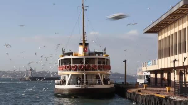 Seagulls Flying Ferry Takes Passengers Kadky Ferry Terminal Istanbul Sunny — Stock video