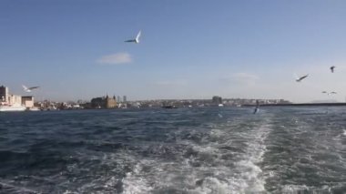 İstanbul 'da Kadiköy' den Karaköy 'e uçan martılarla birlikte bir feribot yolculuğu. 2016 'da feribotun arka güvertesinden.