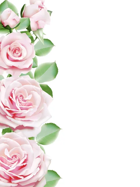 浅粉色玫瑰花束边框的花朵在白色的背景上绽放 矢量说明 — 图库矢量图片