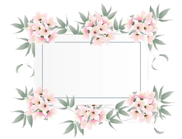 Moldura Cartão Papel Decorado Com Flores Rosa Cacho Fundo Branco — Vetor de Stock