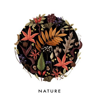 Sonbahar yaprakları ve kurumuş bitkilerle izole edilmiş bir kart. Vektör.