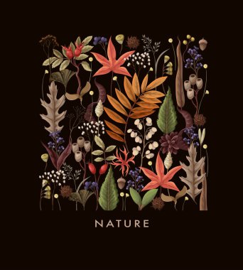 Sonbahar yaprakları ve kurumuş bitkilerle izole edilmiş bir kart. Vektör.