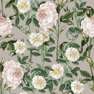 Beyaz güllerle kusursuz desen. Vektör