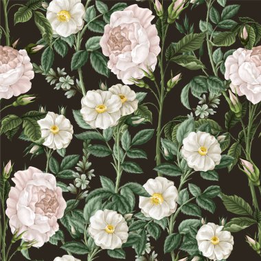 Beyaz güllerle kusursuz desen. Vektör