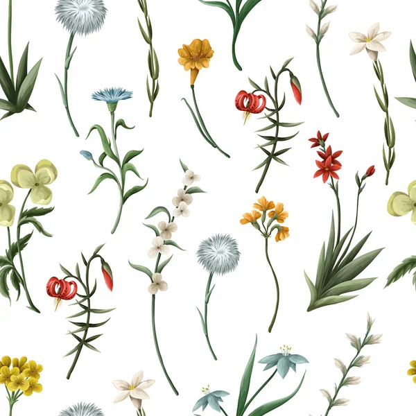 stock vector Seamless pattern with thin meadow flowers. Vector