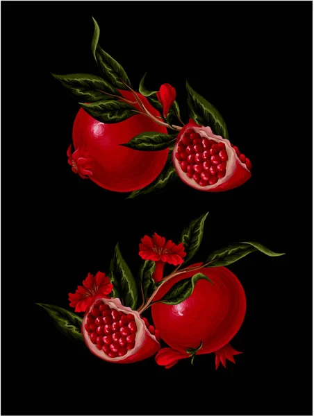 Grenade Branches Fleurs Vecteur — Image vectorielle
