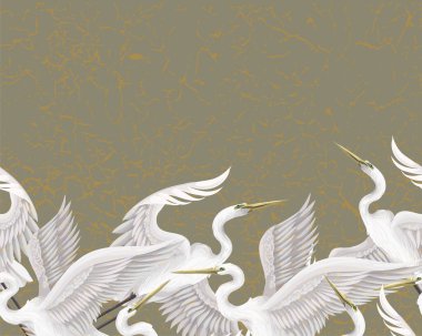 Akbalıkçıllı sınır. Vektör