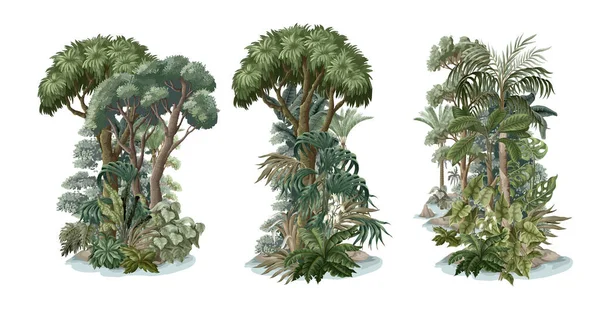 Arbres Plantes Jungle Isolés Vecteur — Image vectorielle