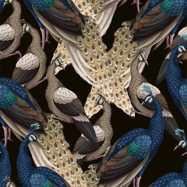 Tavus kuşlarıyla kusursuz desen. Vektör.