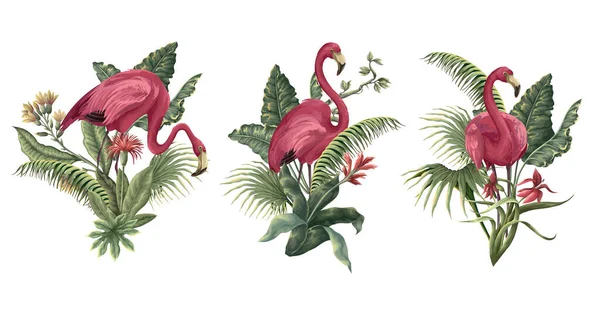 Flamingók Trópusi Levelek Elkülönítve Vektor — Stock Vector
