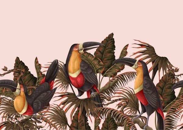 Bordure Avec Toucans Feuilles Tropicales Vecteur — Image vectorielle