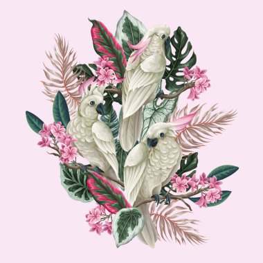 Kakadu, tropikal yapraklar ve yalnız çiçekler. Vektör