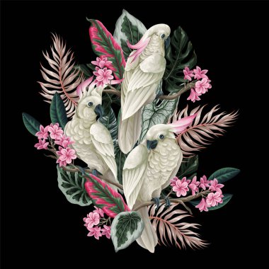 Kakadu, tropikal yapraklar ve yalnız çiçekler. Vektör