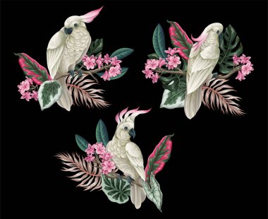 Kakadu, tropikal yapraklar ve yalnız çiçekler. Vektör