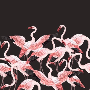 Pembe flamingolu sınır. Vektör