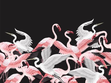 Pembe flamingolu ve beyaz balıkçıllı bir sınır. Vektör