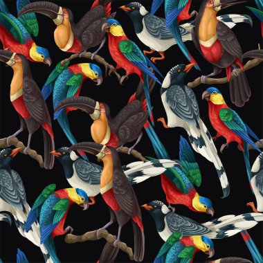 Saksağanlar, papağanlar ve tukanlarla kusursuz bir düzen. Vektör