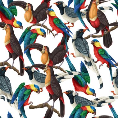 Saksağanlar, papağanlar ve tukanlarla kusursuz bir düzen. Vektör