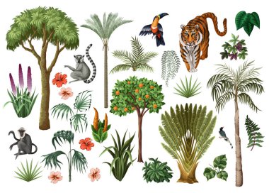 Tropik ağaçlar, hayvanlar, çiçekler ve kuşlar izole edilmiş. Vektör