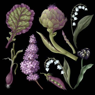 Enginarlar, soğanlar, fasulyeler ve çiçekler izole edilmiş. Vektör