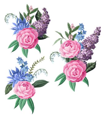 Camelia çiçekli buketler ve diğer çiçekler. Vektör