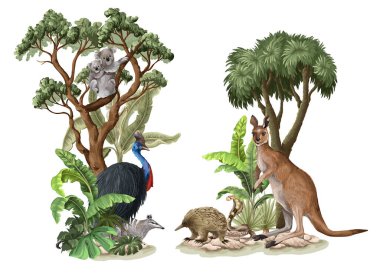Avustralyalı hayvanlar ve ağaçlar izole edilmiş. Vektör