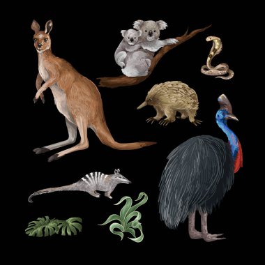 Avustralyalı hayvanlar ve ağaçlar izole edilmiş. Vektör