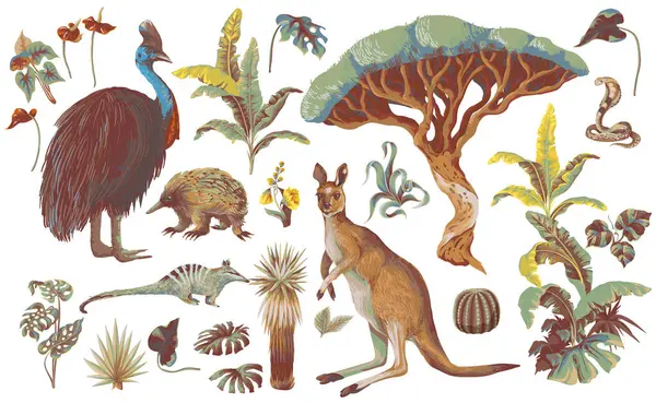 Avustralyalı hayvanlar ve ağaçlar izole edilmiş. Vektör