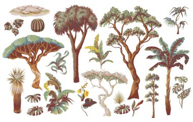 Avustralyalı hayvanlar ve ağaçlar izole edilmiş. Vektör