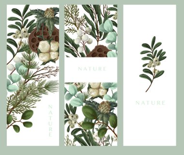 Pamuklu Noel botanik kartları, böğürtlen ve yeşillik..