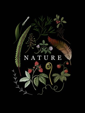 Sonbahar Vektörü Orman Eğreltiotu Bitkileri Botanik Doğası Çiçek İllüstrasyonu .