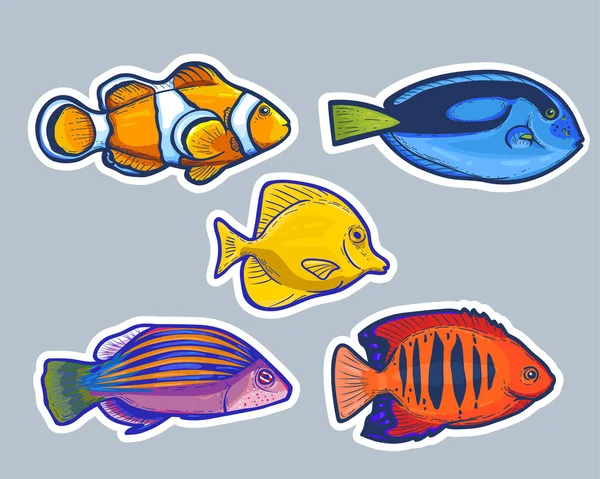 Συλλογή Πολύχρωμων Αυτοκόλλητων Θαλασσινών Ψαριών Διανυσματική Απεικόνιση — Διανυσματικό Αρχείο