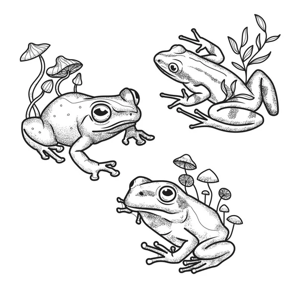 Kurbağa Seti Çizgi Sanat Vektörü Çizimi — Stok Vektör
