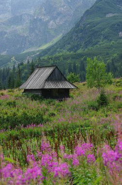Chata na Hali Gasienicowej, Tatry, Polska