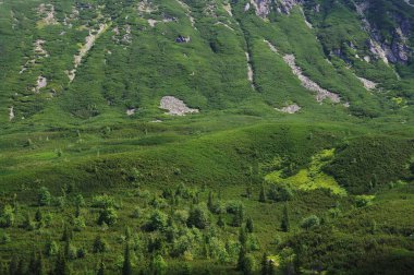 Zielone zbocze gory, Tatry, Polska