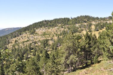 Dağları seyret. Pireneler .