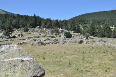 Şehrin harabelerinin manzarası. .