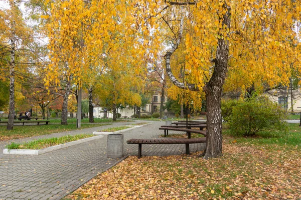 Золотая Осень Киевском Политехническом Парке — стоковое фото