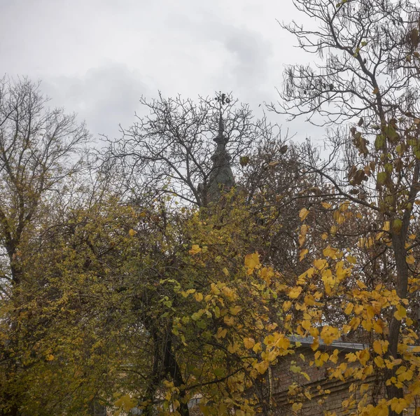 Осенний День Киевском Политическом Парке — стоковое фото