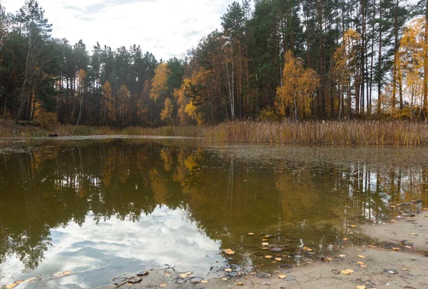Krajina Lesem Nad Jezerem Podzim — Stock fotografie