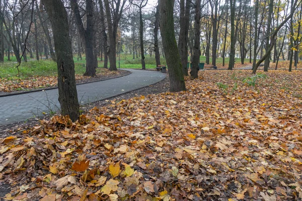 秋の日にキエフのポリテクニックパーク — ストック写真