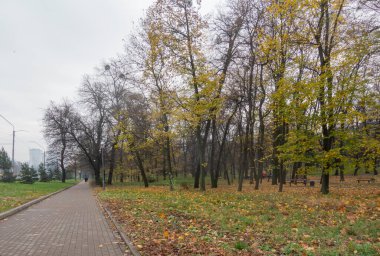 Kyiv Politeknik Parkı 'nın bir sonbahar günü manzarası