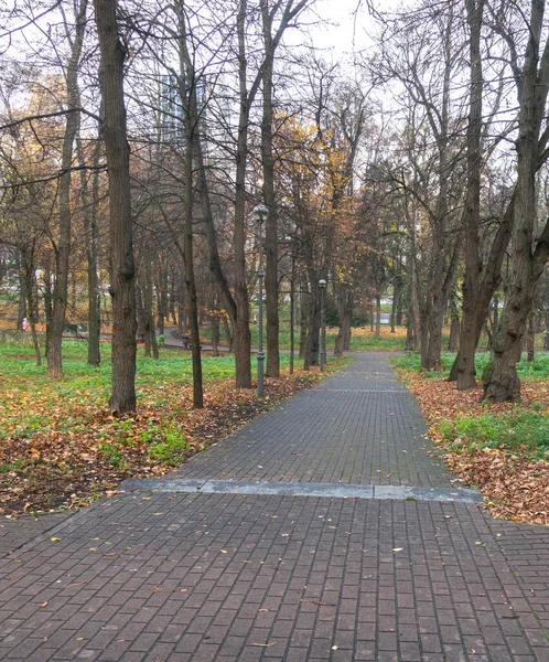 Beco Parque Politécnico Kiev Levando Avenida Victory Dia Outono — Fotografia de Stock