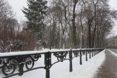 Kyiv, Mariinsky Park kışın