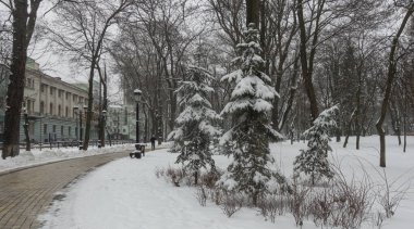 Kyiv 'in merkezinde Mariinsky Parkı kışın görünümü