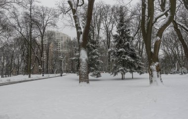 Kyiv Kışında, Mariinsky Park karda